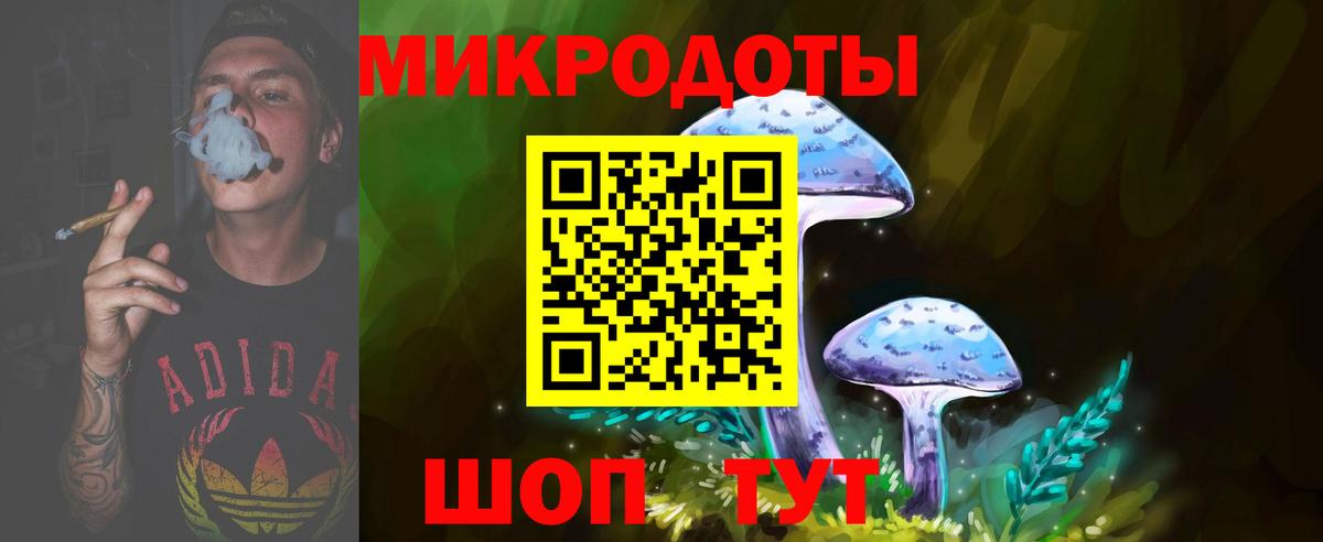 Псилоцибиновые грибы Psilocybine cubensis Воткинск